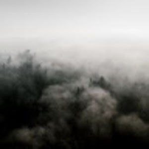 Meet your Posher, Bonita